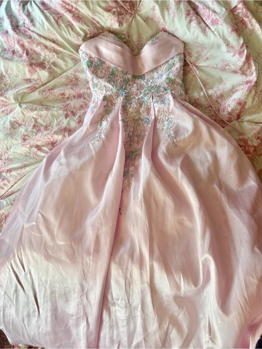 ellie wilde Strapless Light Pink Ball Gown with Floral Embroidery - Picture 5 of 6